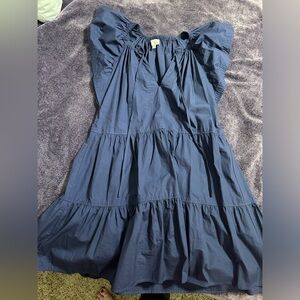 Pinch dress w/ flutter sleeve